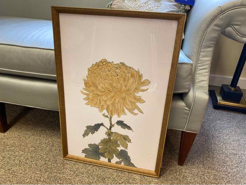 Framed Print"  "Chrysanthemum VI"