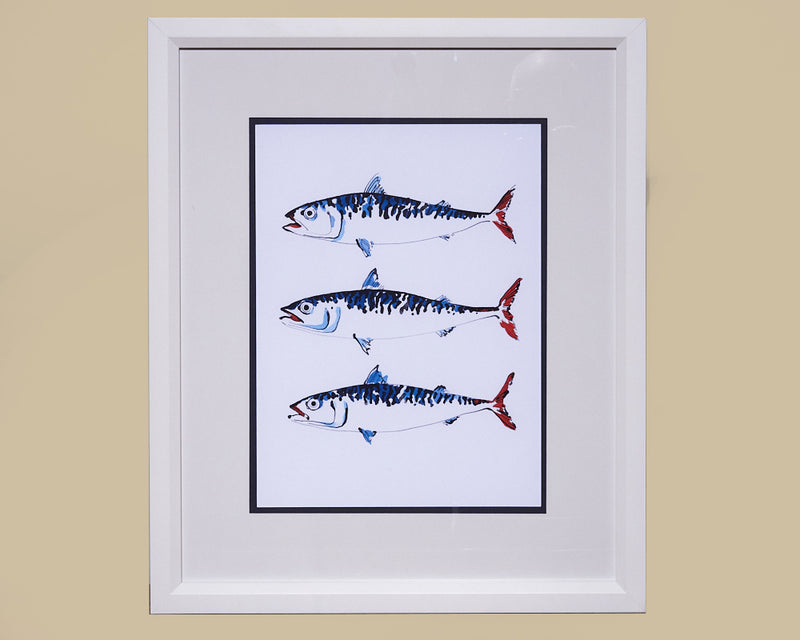 Framed Art Coastal Catch  Fish