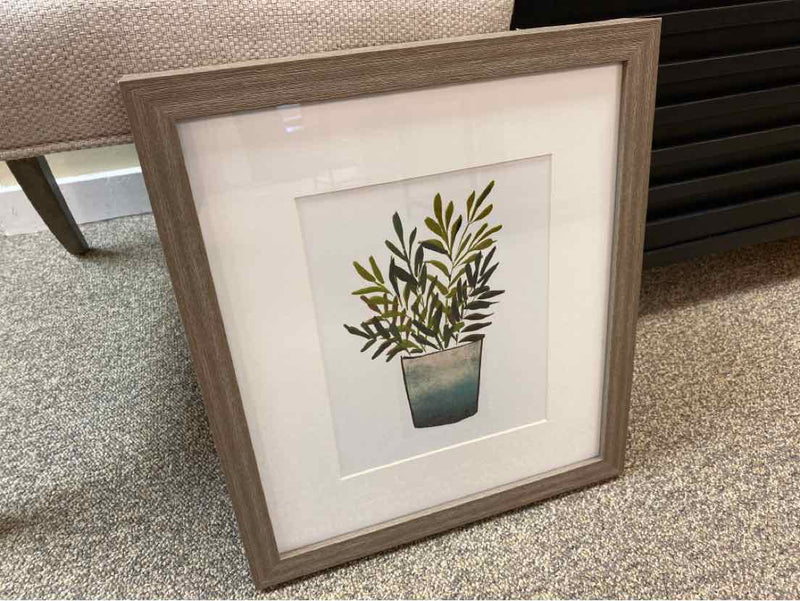 Framed Print:  "Houseplants III"