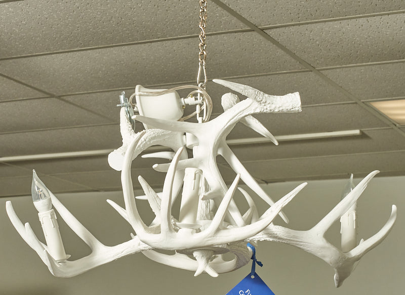 Bleached White Antler Chandelier