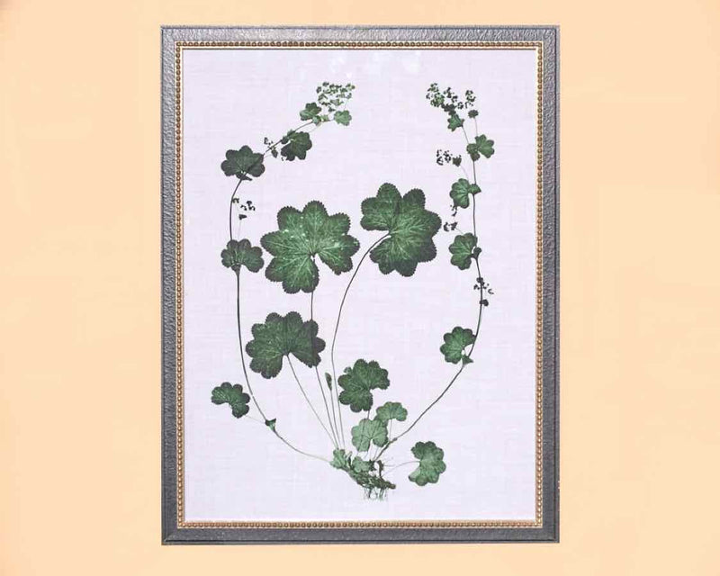 Forest Foliage II Art Print In Black Frame With Silver Bead Trim