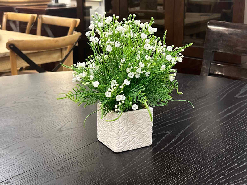 Foster's Point Gypsophillia Decor