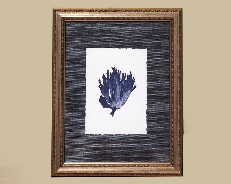 Framed Art Blue Coral III 4088