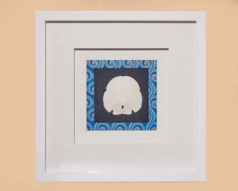 Sand Dollar III In White Shadow Box Frame & Triple Matt