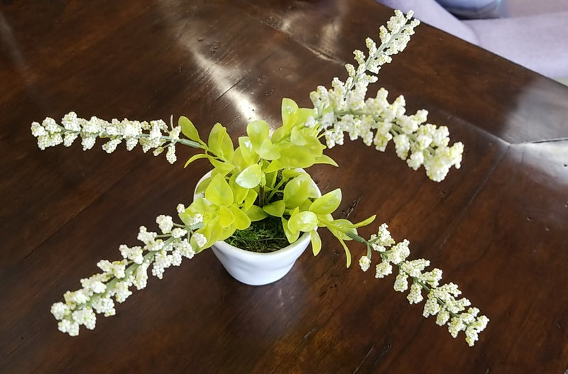 Tall Succulent in White Pot II