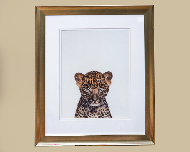 Baby Leopard Framed Art