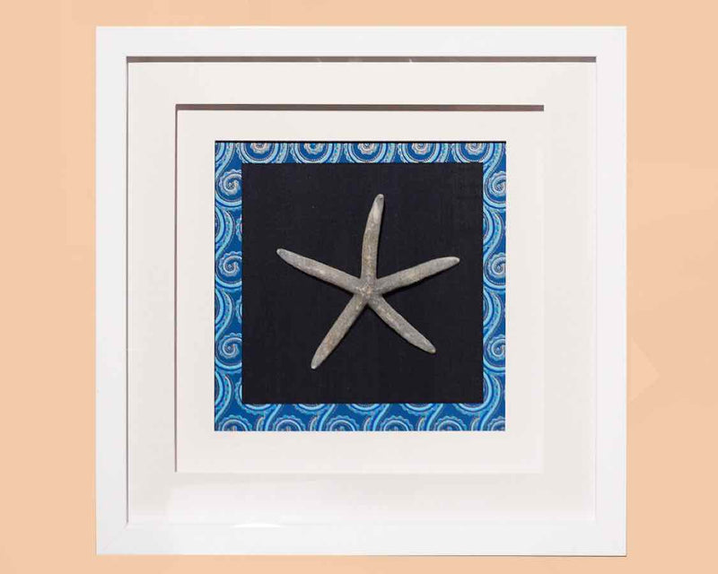 Star Fish II In White Shadow Box Frame & Triple Matt