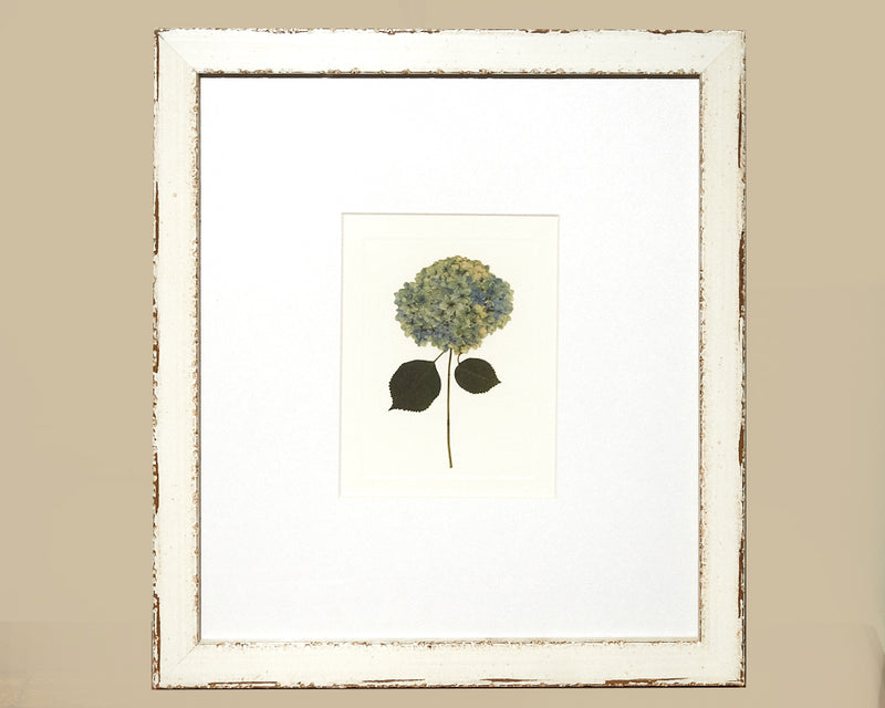 Framed Art Hydrangea III 13338