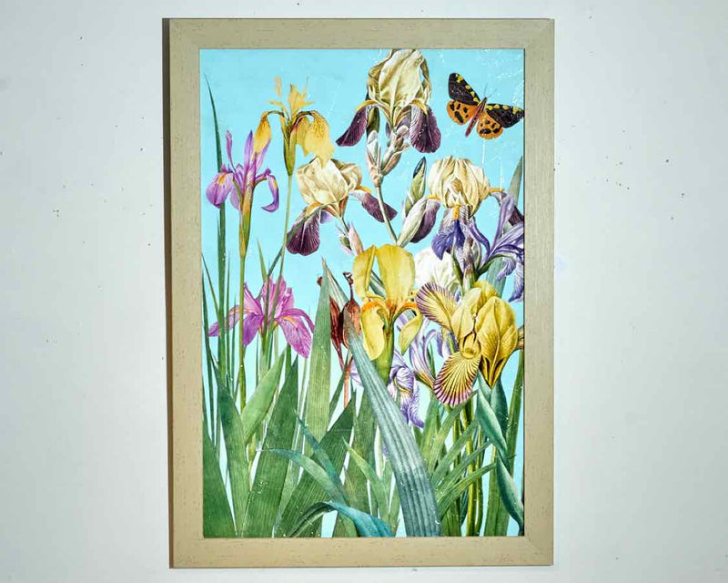 Iris Fantasy II Textured Art Print  In Distressed Cream Frame